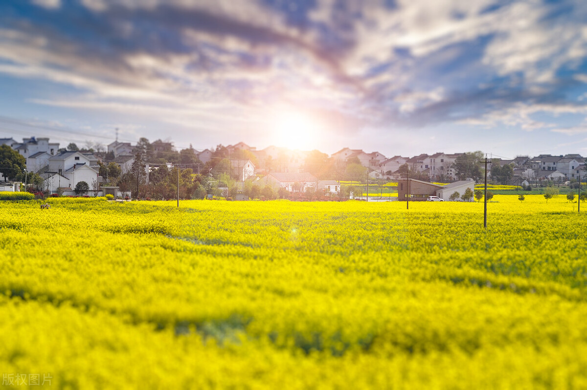 肾阴虚咋补,肾阴虚怎么补