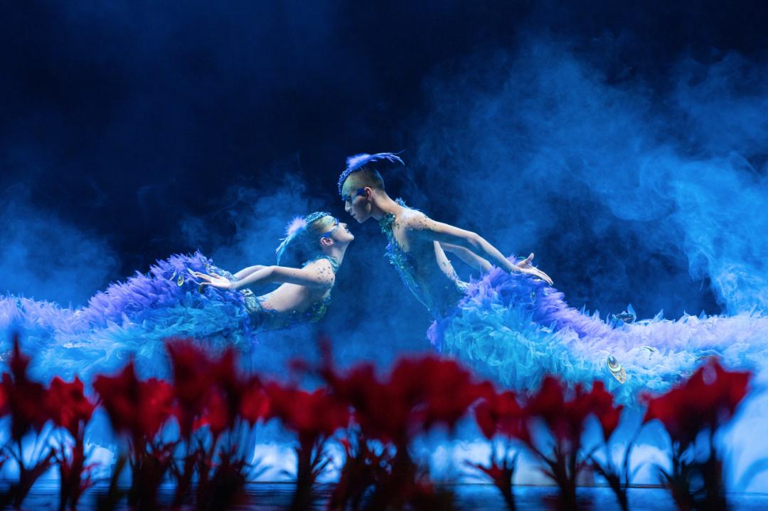 杨丽萍经典舞剧孔雀再飨津门,一生必看一次杨丽萍《孔雀》