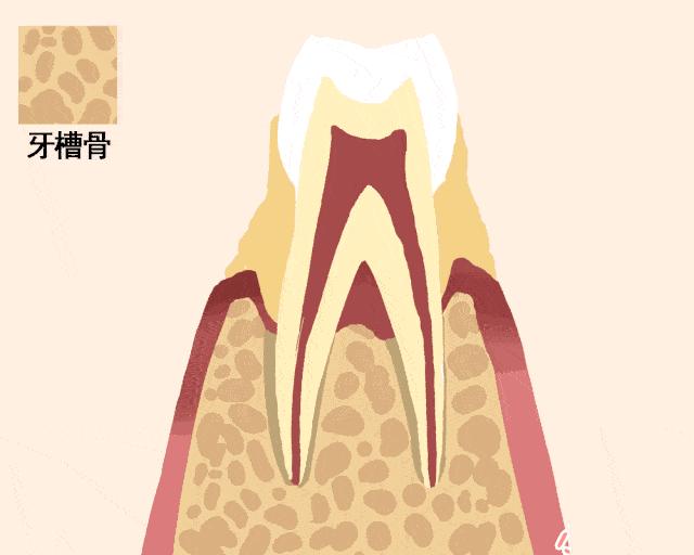 口腔有异味牙齿松动,口腔上火牙齿松动怎么办