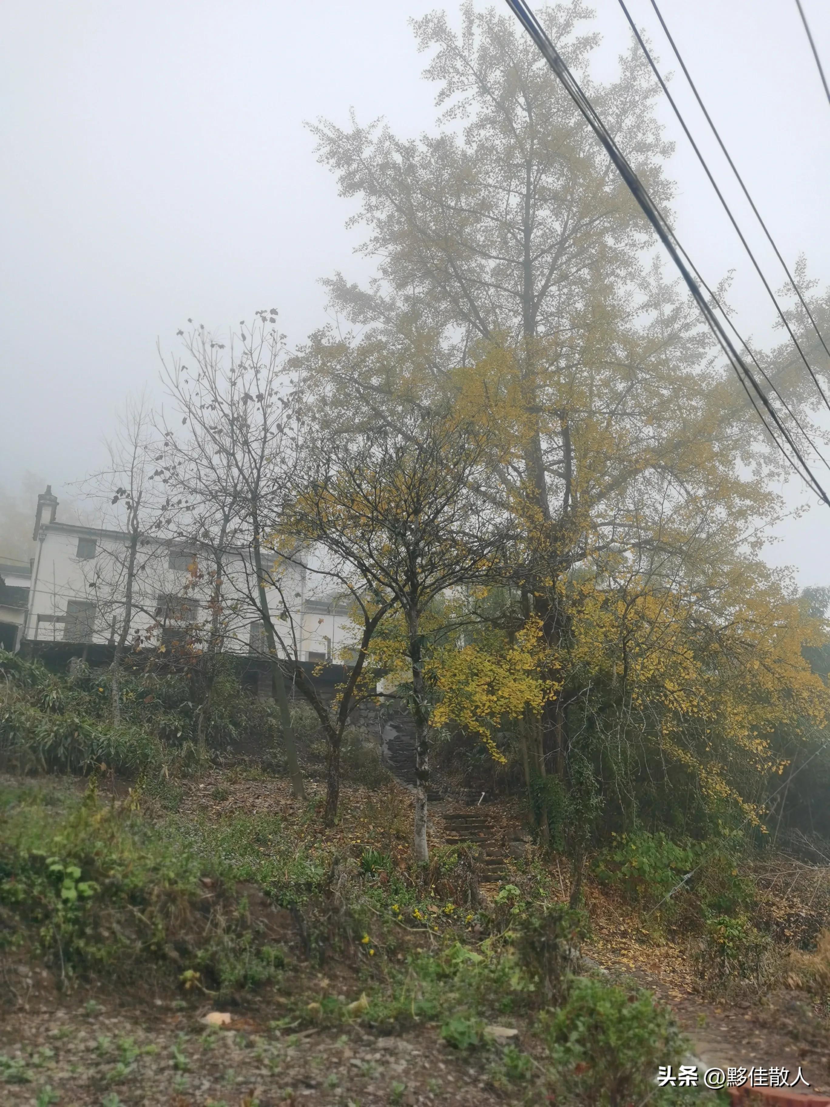 回乡偶书原文,回乡遇见儿时玩伴