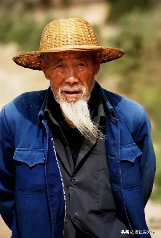 一单50元日赚800元。遗照项目来了