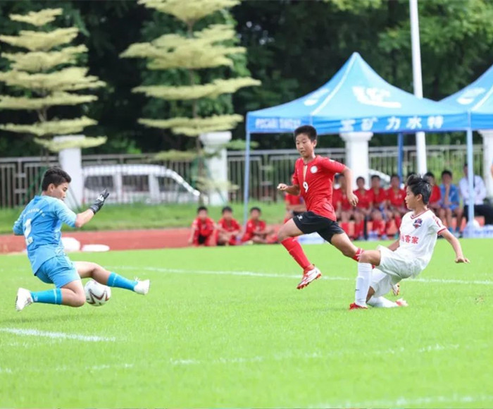 新征程篮球赛,新征程体育杯