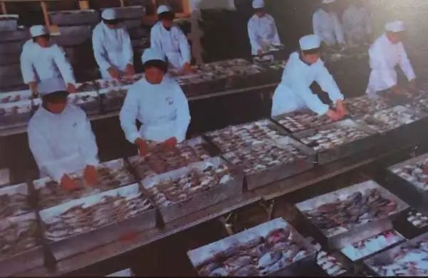 从百年渔港到网红地标!走进厦门最古老的港口,沙坡尾的40年...