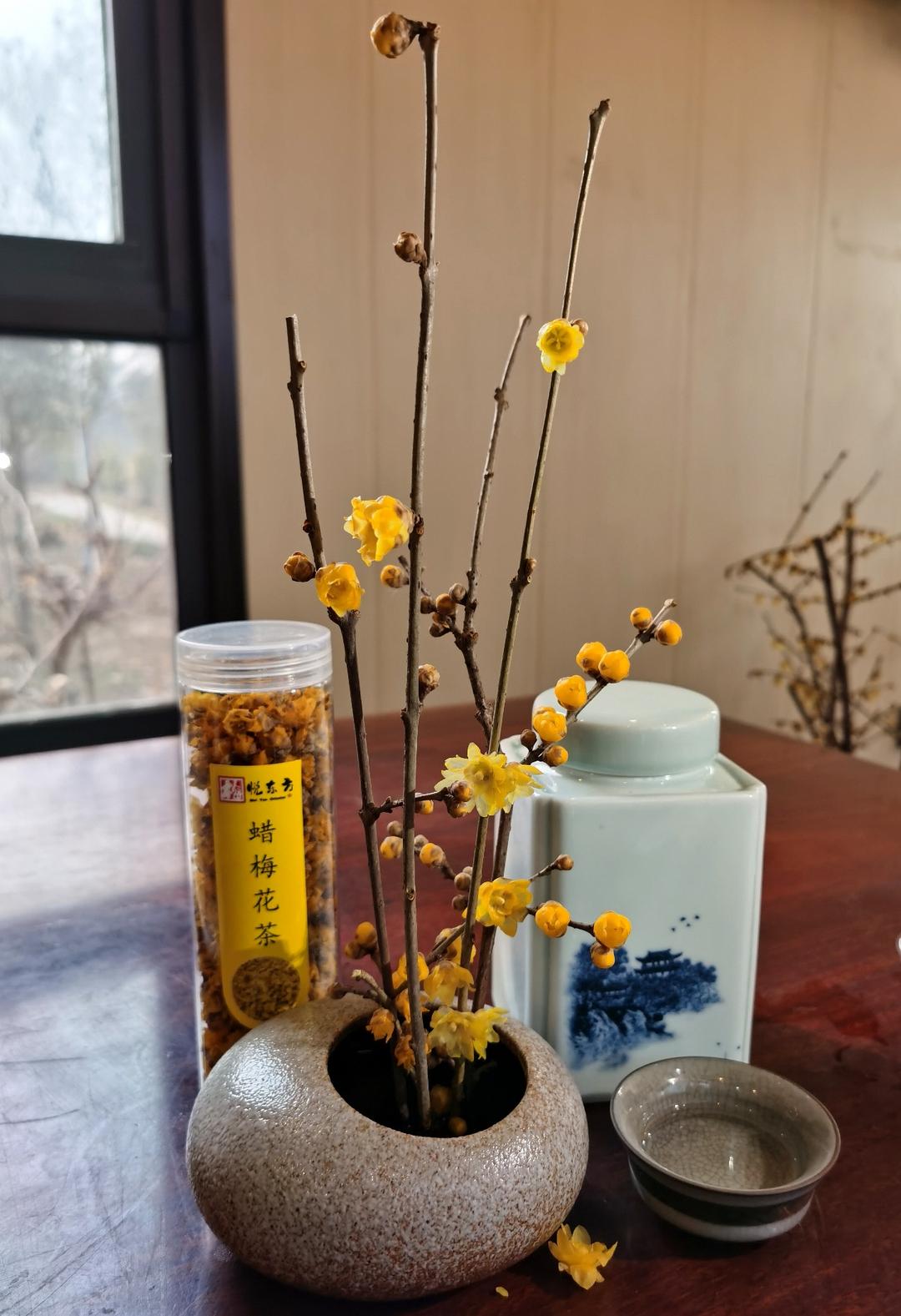 鄢陵模式,2023年鄢陵的发展