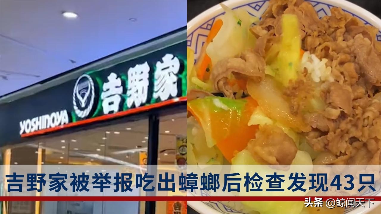 今年315都曝光了哪些,今年315都爆出了哪些坑