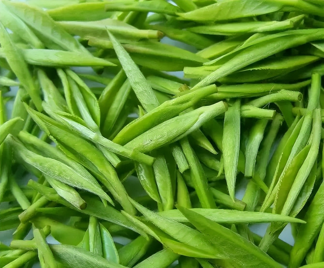 绿茶种类大全介绍,高档龙井绿茶有哪些种类