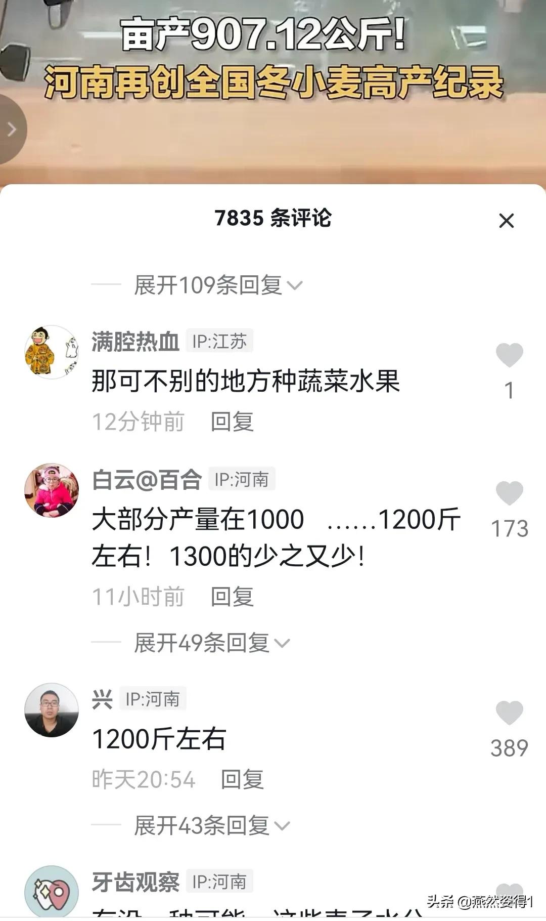 打破山东省小麦高产纪录,河南省今年小麦亩产最高纪录