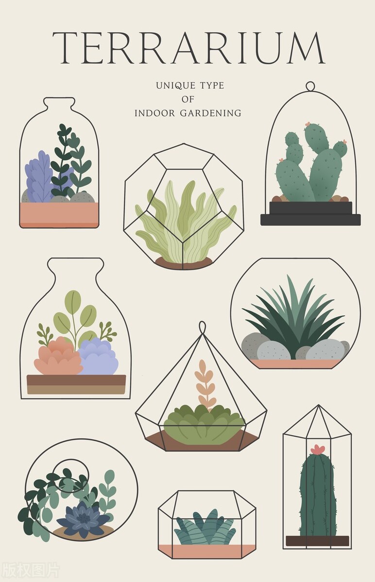 三年级上册语文第八单元写作400字,三年级上册语文第八单元作文大全