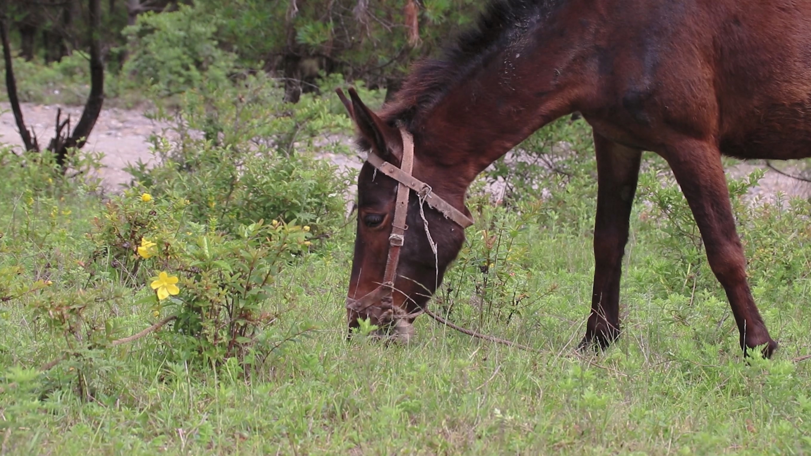 甘肃和陕西的渊源,甘肃为什么简称为陇