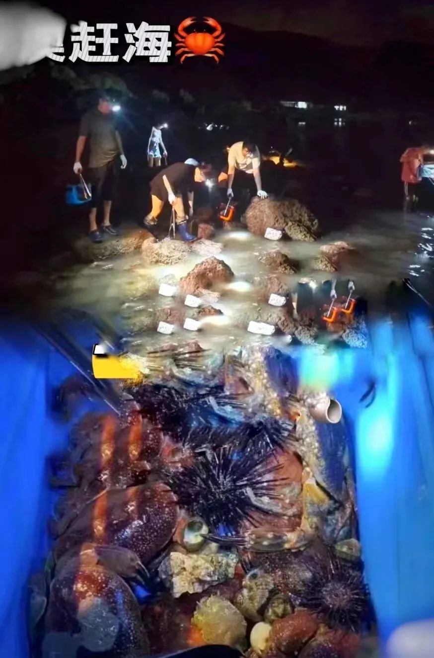 海南环岛自驾游6天住哪里,海南岛自驾性价比最高旅游攻略