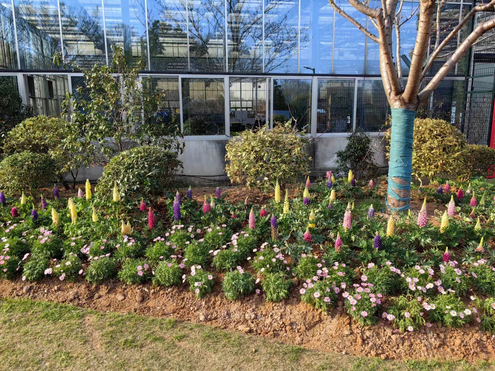 溧水梦华苑一日游,溧水三叶梦华苑还是郭兴庄园好玩