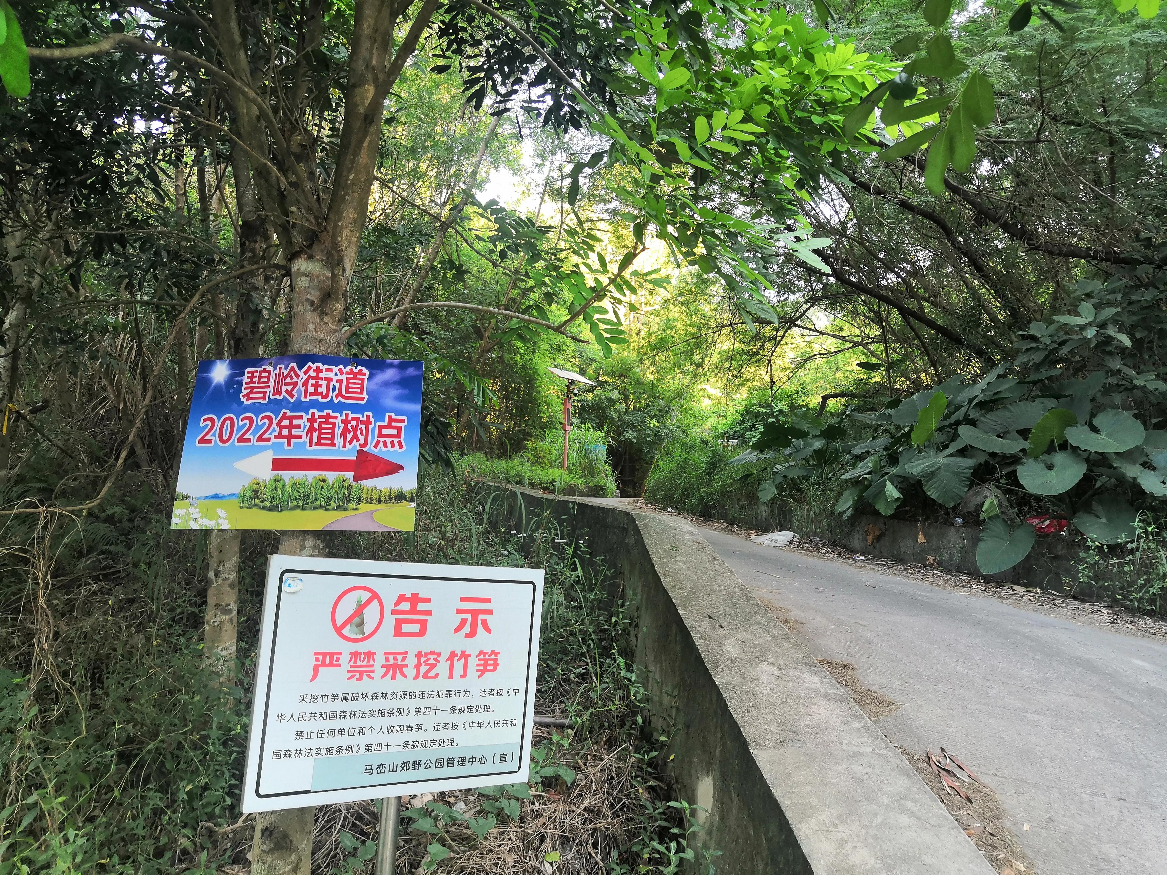 打鼓嶂千岛湖路线,深圳千岛湖打鼓嶂
