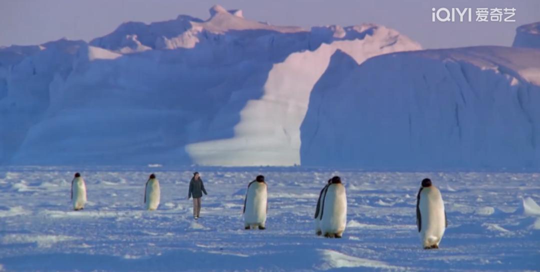 bbc少儿科普纪录片从哪里看,bbc儿童科普片推荐