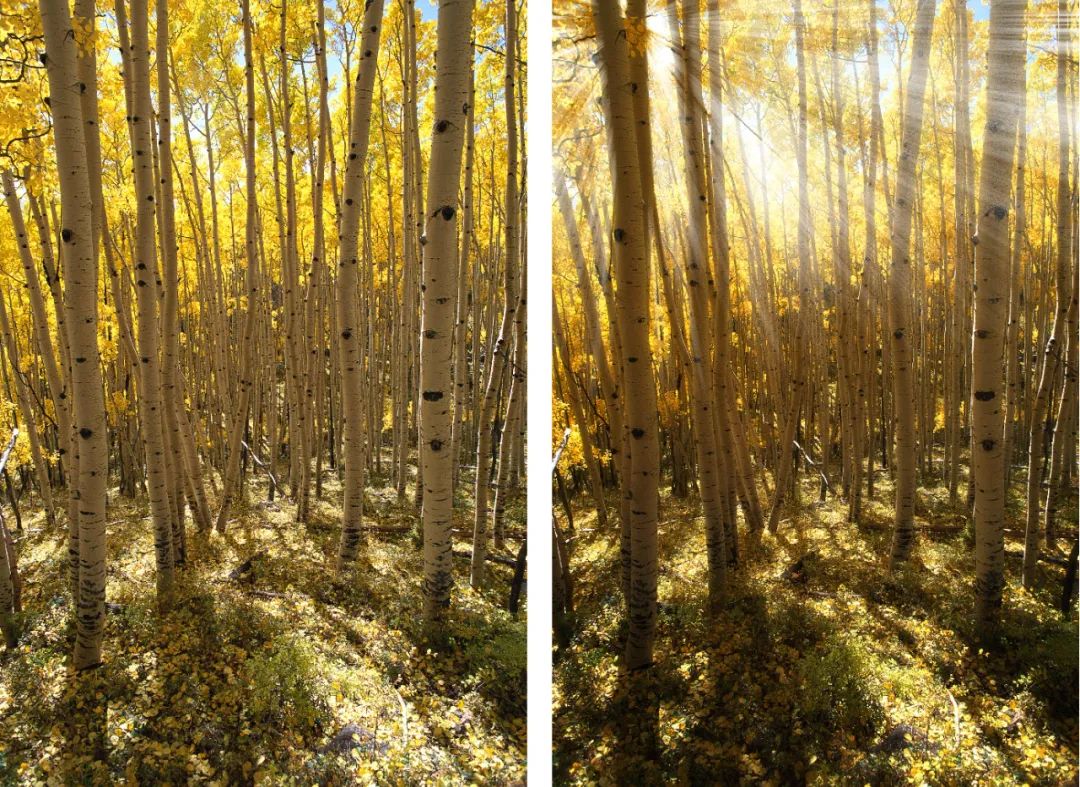 ps教程17课,ps怎么把照片调清晰ps调色小技巧