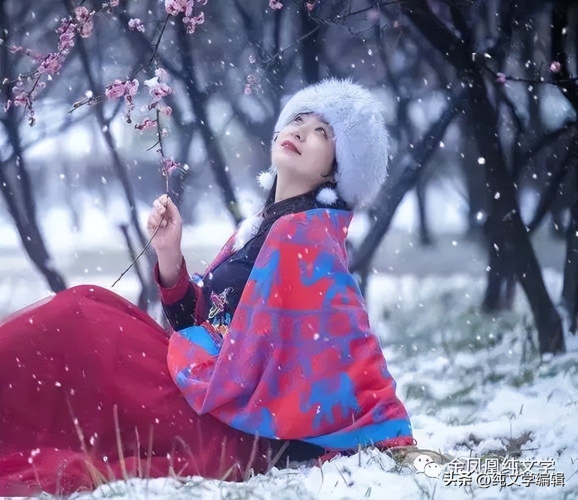 「金凤凰纯文学」《一枝梅花踏雪来》周日读诗（234期）