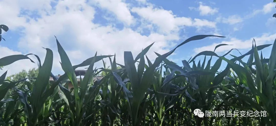 向往的田园生活有山,向往的慢生活田园生活