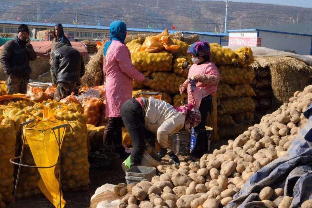 哪个地方的土豆最好吃,什么地方的土豆最出名最好吃