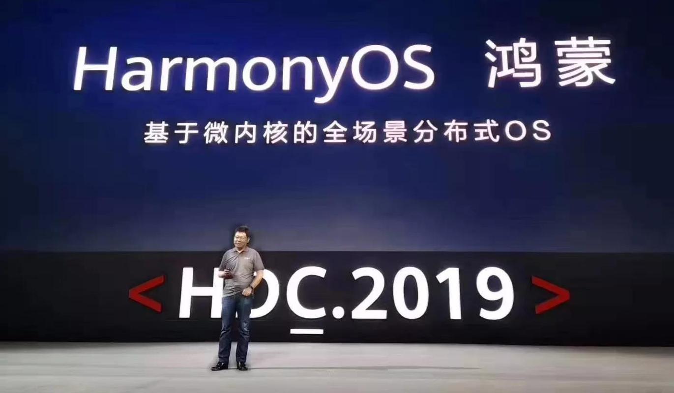 有哪些国家队支持鸿蒙,四年后国家发展趋势