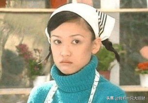 薰衣草从零开始,薰衣草诠释爱情