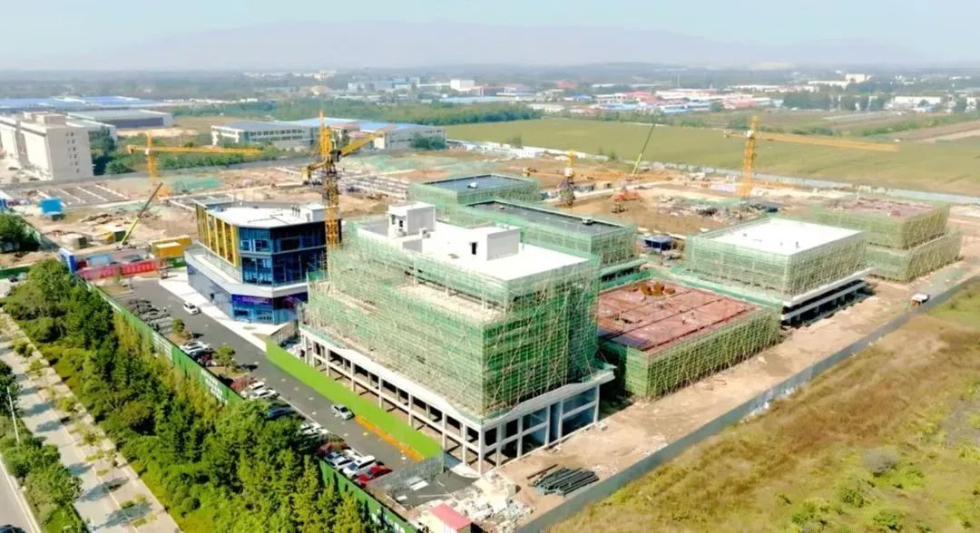 每年赚70亿：这个山东小镇公然“造假”，却让全世界女孩为它疯狂