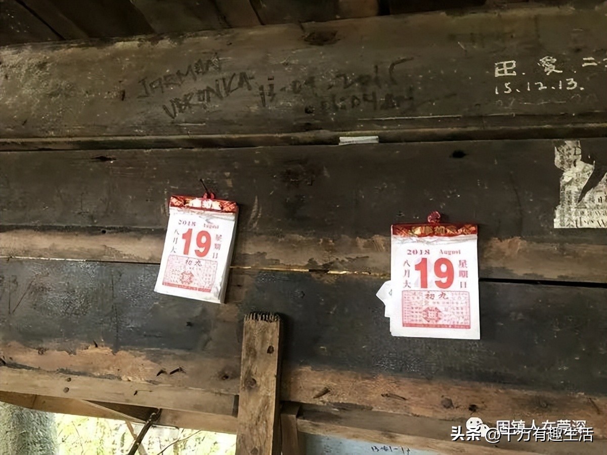 香港徒步麦理浩径全程攻略介绍,香港狮子山徒步攻略