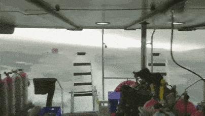 马航mh370失联事件最终结果公布,马航mh370失联的科学家有哪些