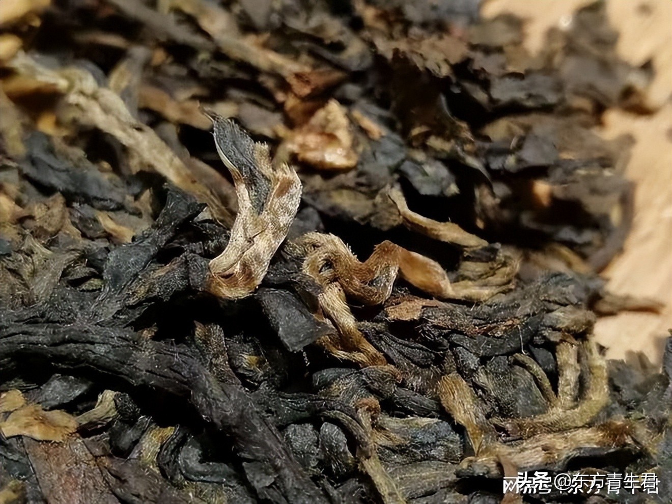 普洱茶糯香和陈香的区别,普洱茶越陈越香越有价值