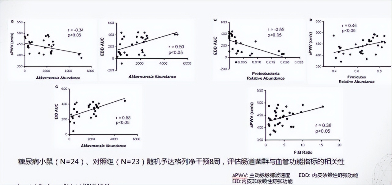 肠道菌群对糖尿病的影响,肠道有益菌对糖尿病的影响