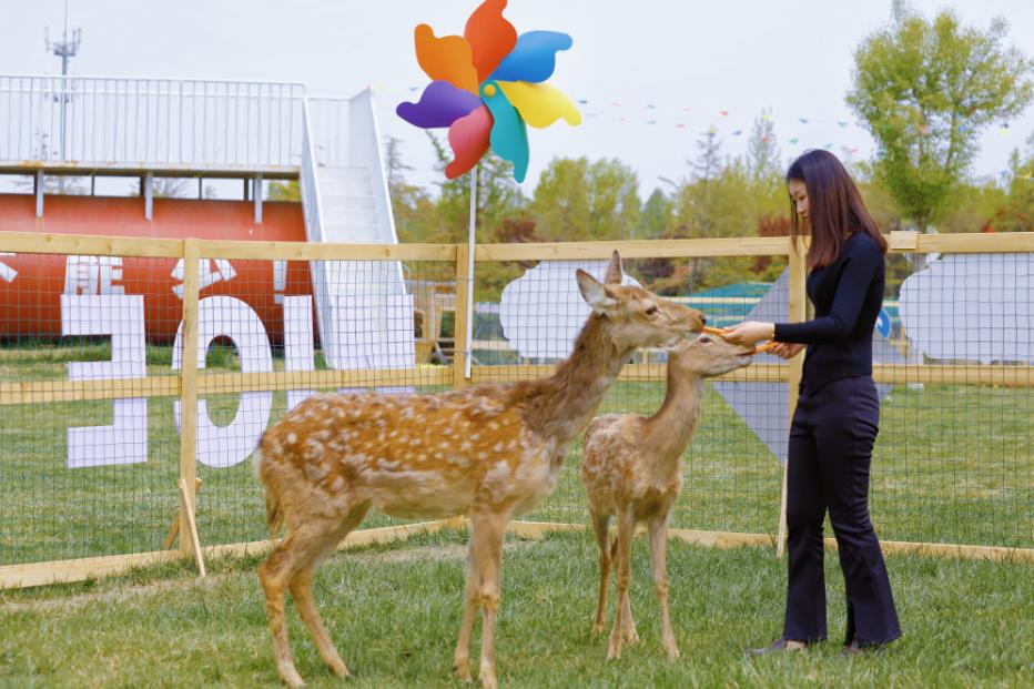 2020日韩青岛进口博览会,2019日韩青岛进口商品博览会开幕