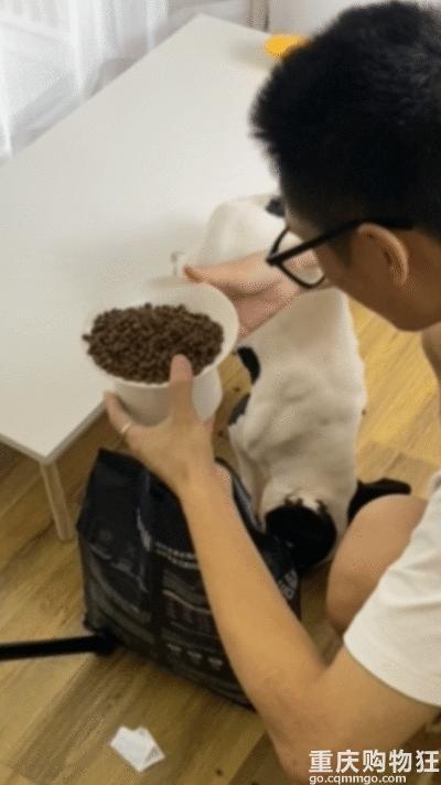 宠物博主有多赚钱,宠物博主怎么盈利