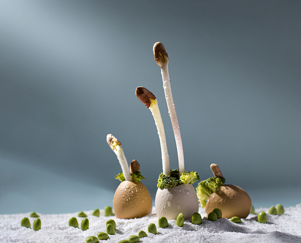 撒切尔减肥法视频,撒切尔夫人减肥食谱