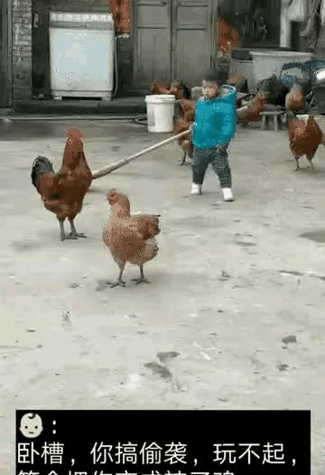 “无意中在女同事车上发现的，这是用来干嘛的？”网友们内涵了