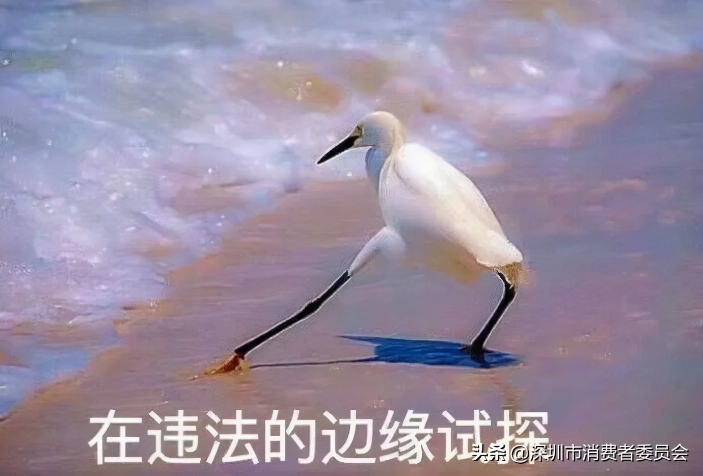 坪山·315|有奖竞答赢话费!这份消费提示问卷你答几分?