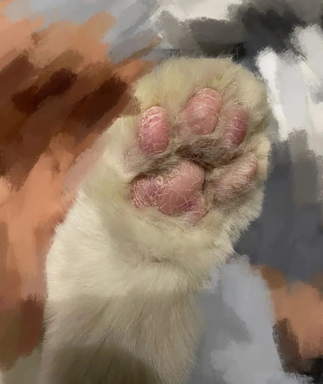 猫咪肉垫干燥脱皮用什么药,猫肉垫干裂脱皮咋回事啊