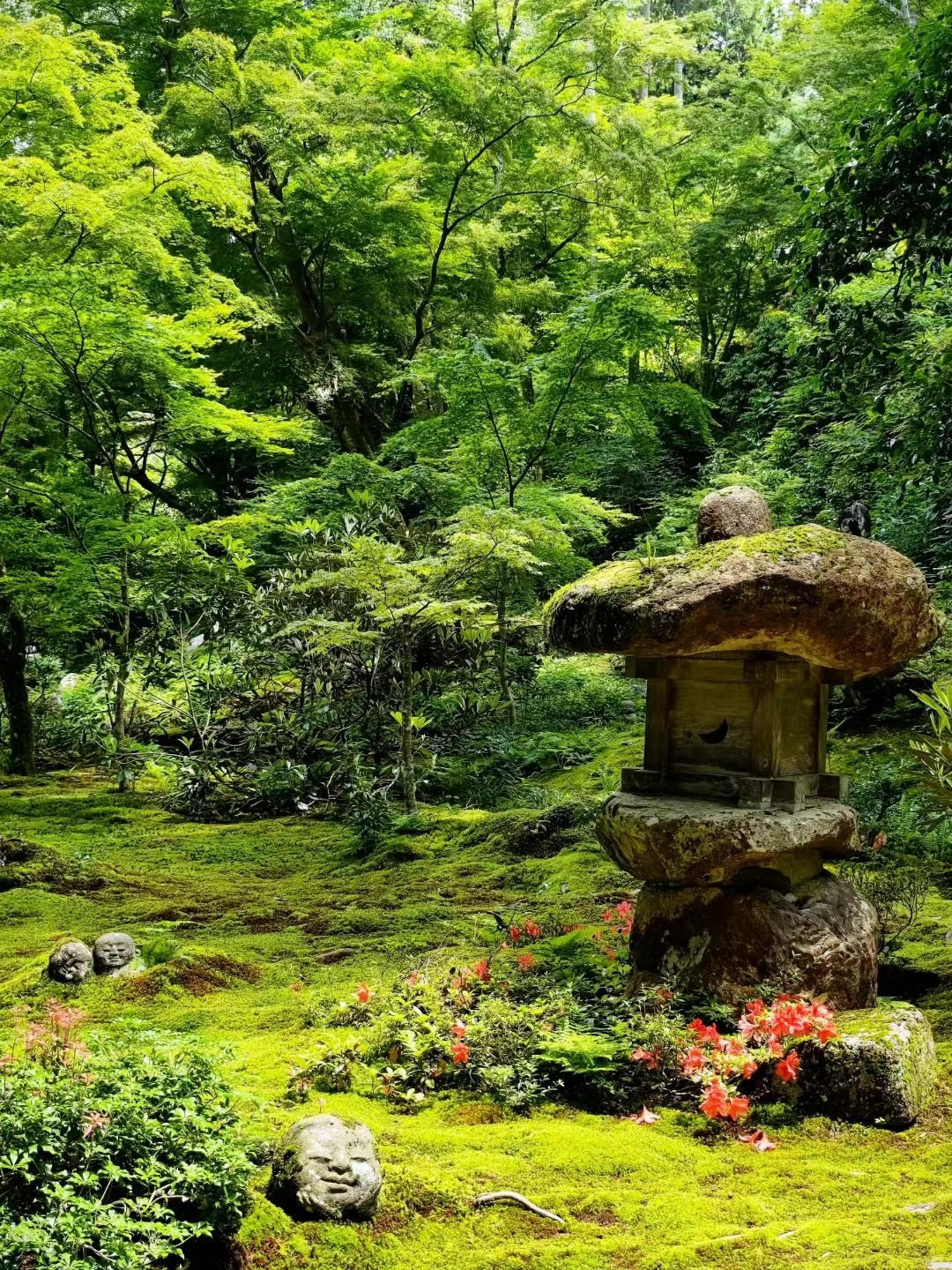 京都旅游住宿排行榜,京都人的私房雅趣全集