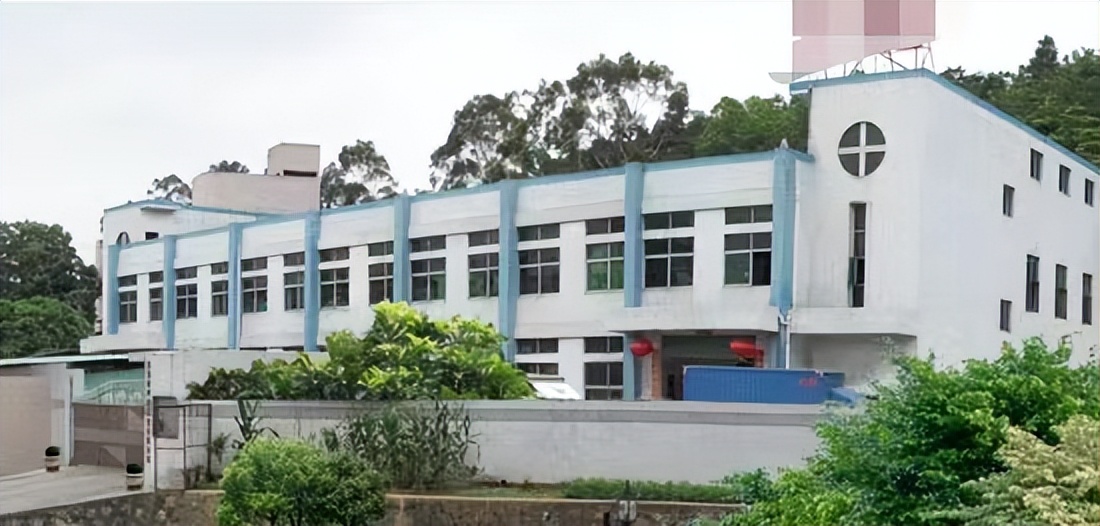 卖豆腐一年可以挣多少钱,在村里卖豆腐能赚多少钱