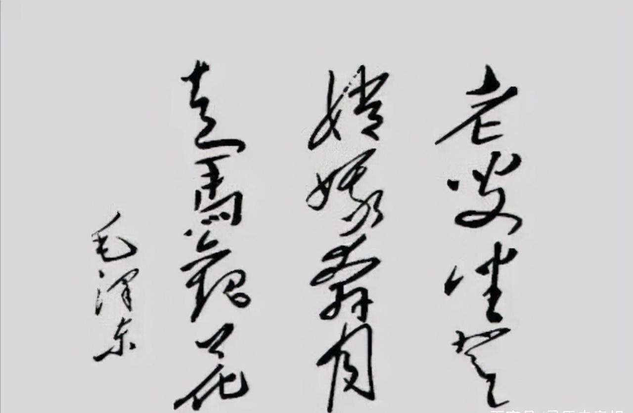 尼克松访华送给中国什么树,尼克松送给中国的礼物