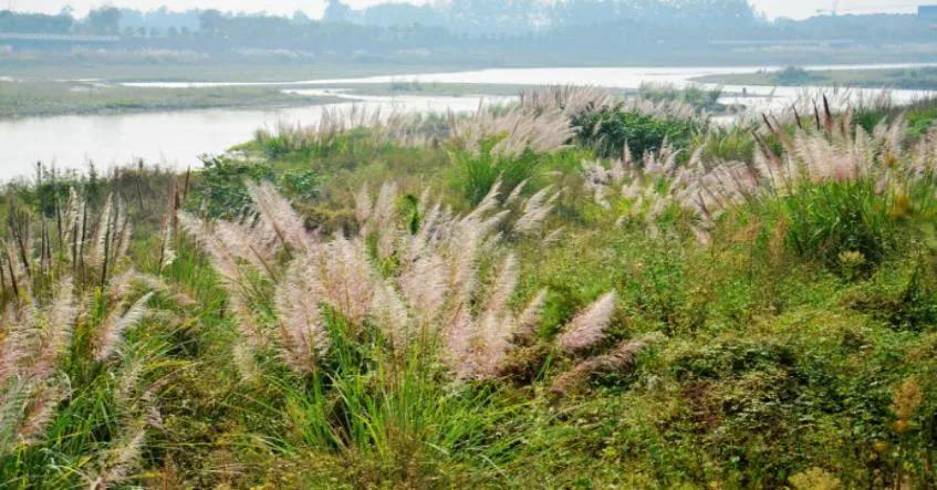 白河湾故事,南阳白河湾故事