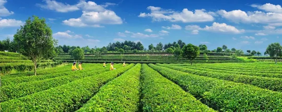 长沙美丽乡村附近有什么好玩的,长沙近郊自驾游最新十大景点