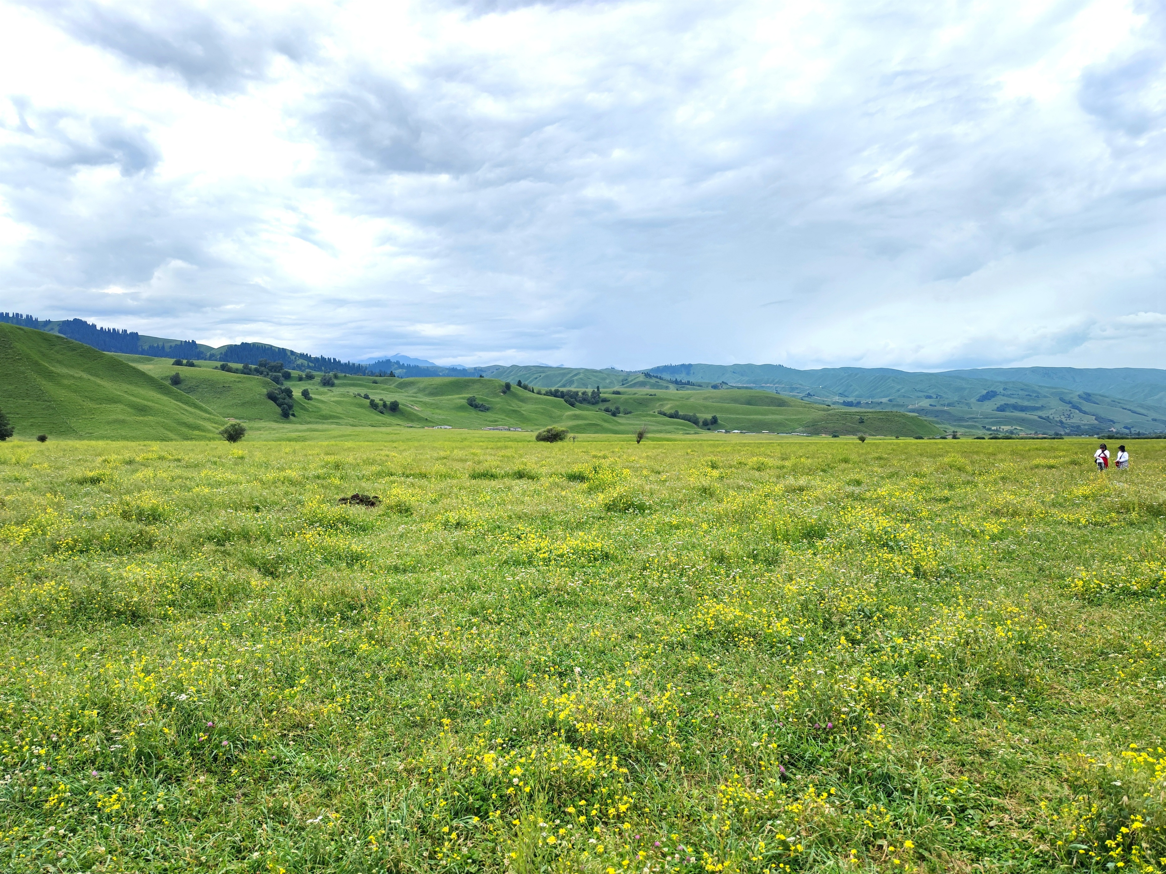 伊犁那拉提草原玩的有啥,伊犁那拉提草原是几级旅游景点