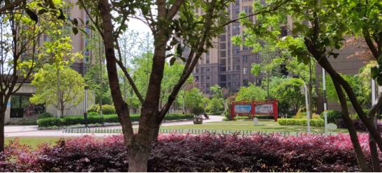 社区风采展报道,社区党建展播