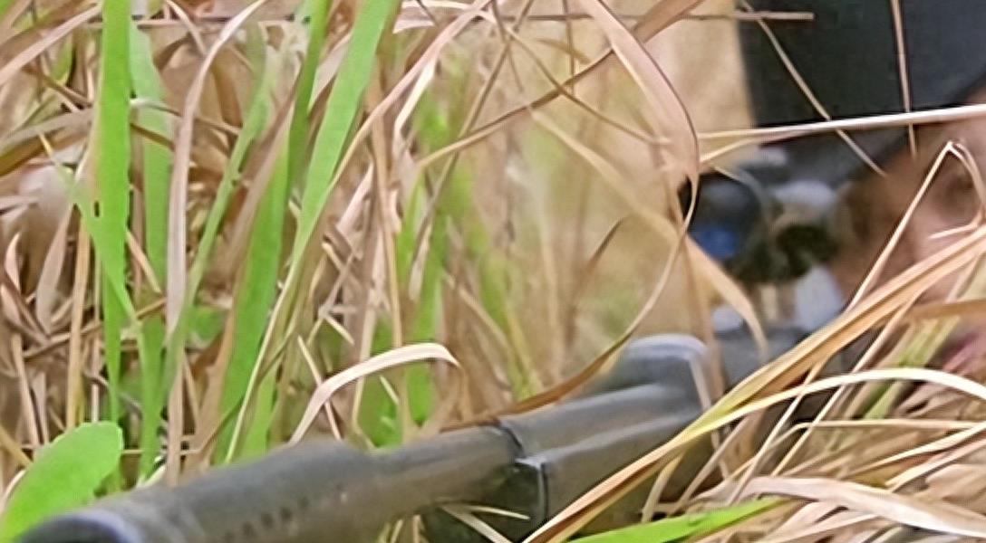 诱惑尼姑装，裤衩子外露，这些毁三观的操作，导演怕是个猪脑子吧