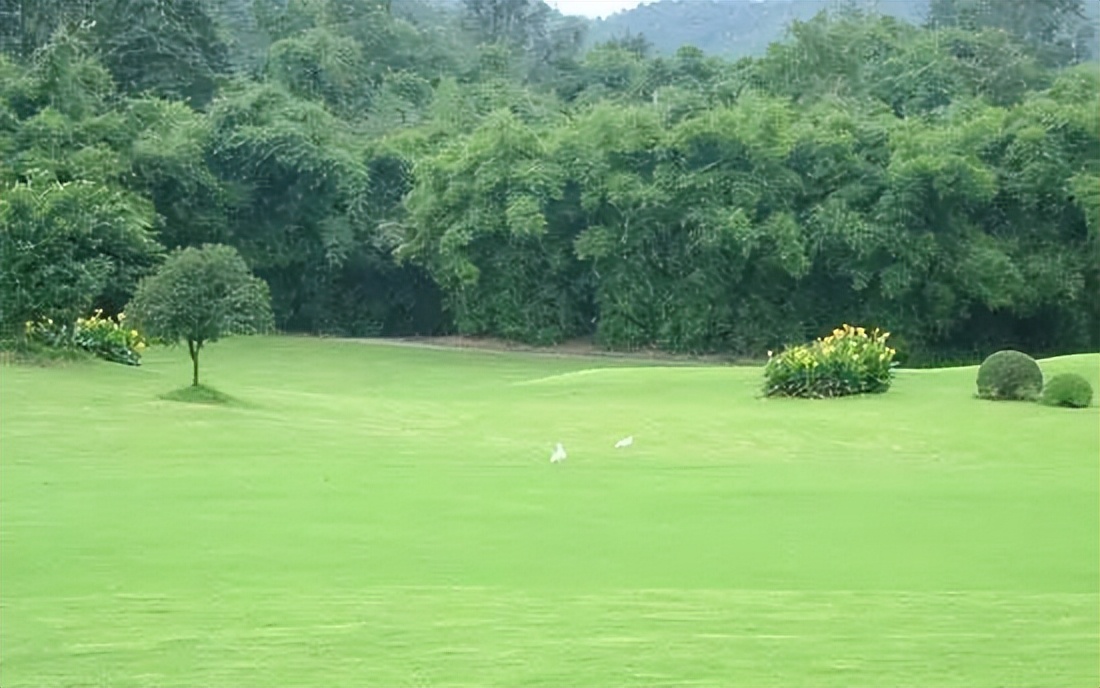 带您领略顶级山崖海景球场,带你们看风景美丽的高尔夫球场