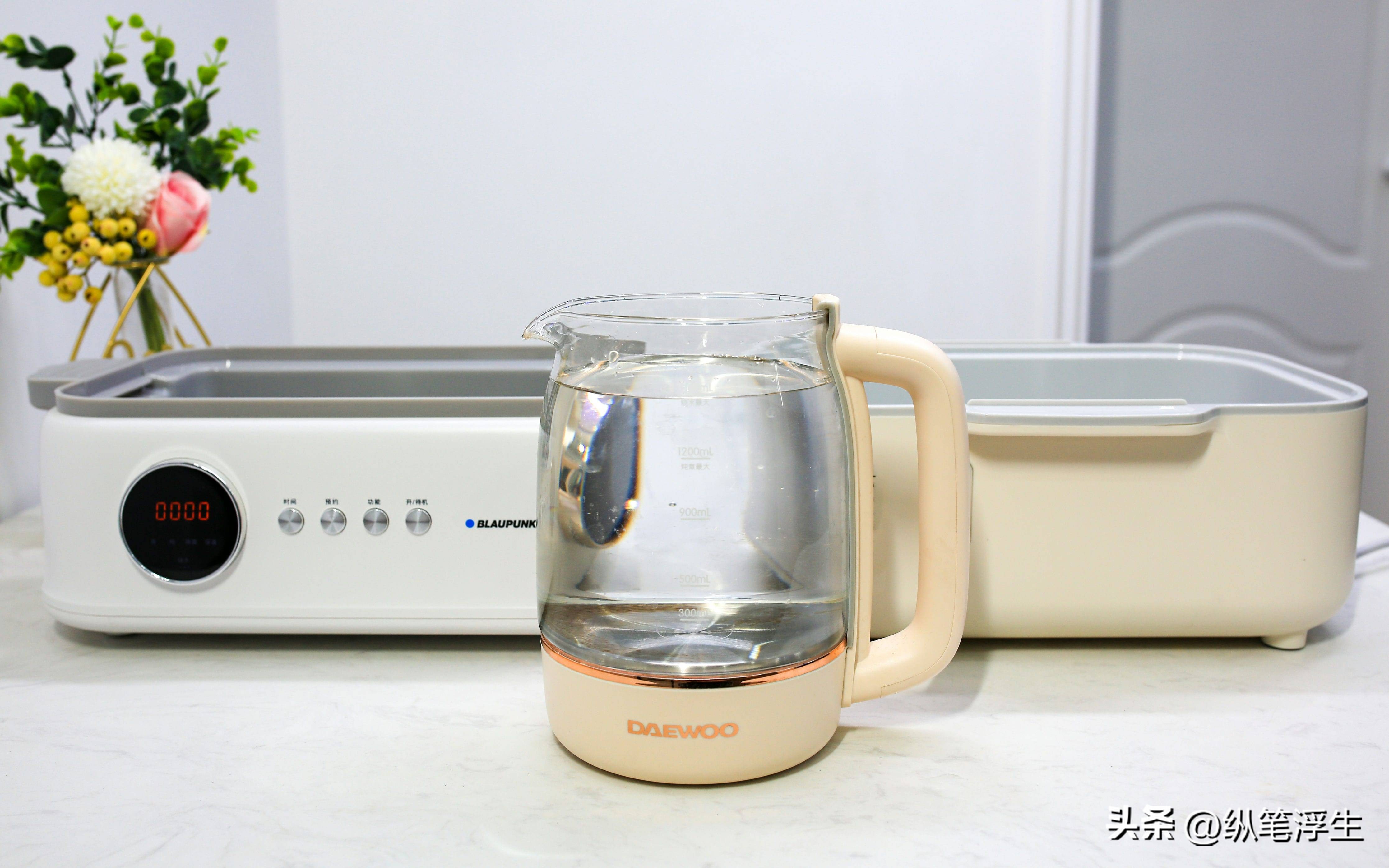 蓝宝电蒸锅对比评测,蓝宝电蒸锅真实测评