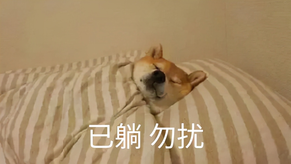 2021十大流行语咬文嚼字,2021年度十大流行语