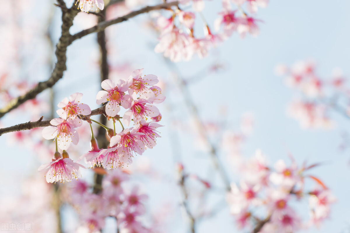 春季养肝推拿最好的方法,春季怎么养肝理气