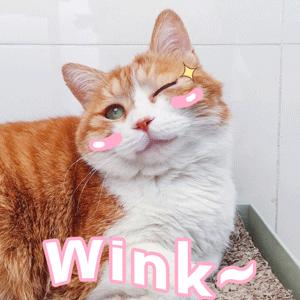 “我的梦想是超过同桌”华爱学校新学期，每个孩子都溢满七彩希望