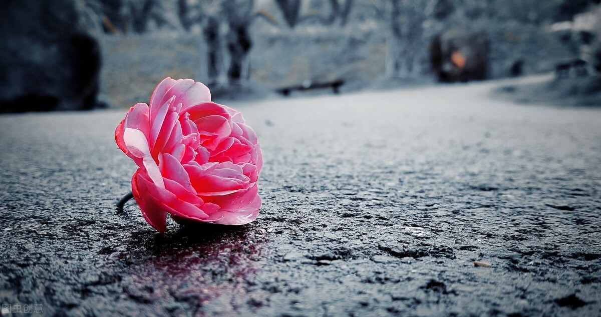 爱情所及，烈焰腾腾，时过境迁，纯纯如水