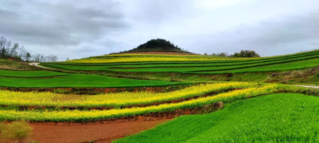 何坝镇铁鼓村,西和县何坝镇铁鼓村