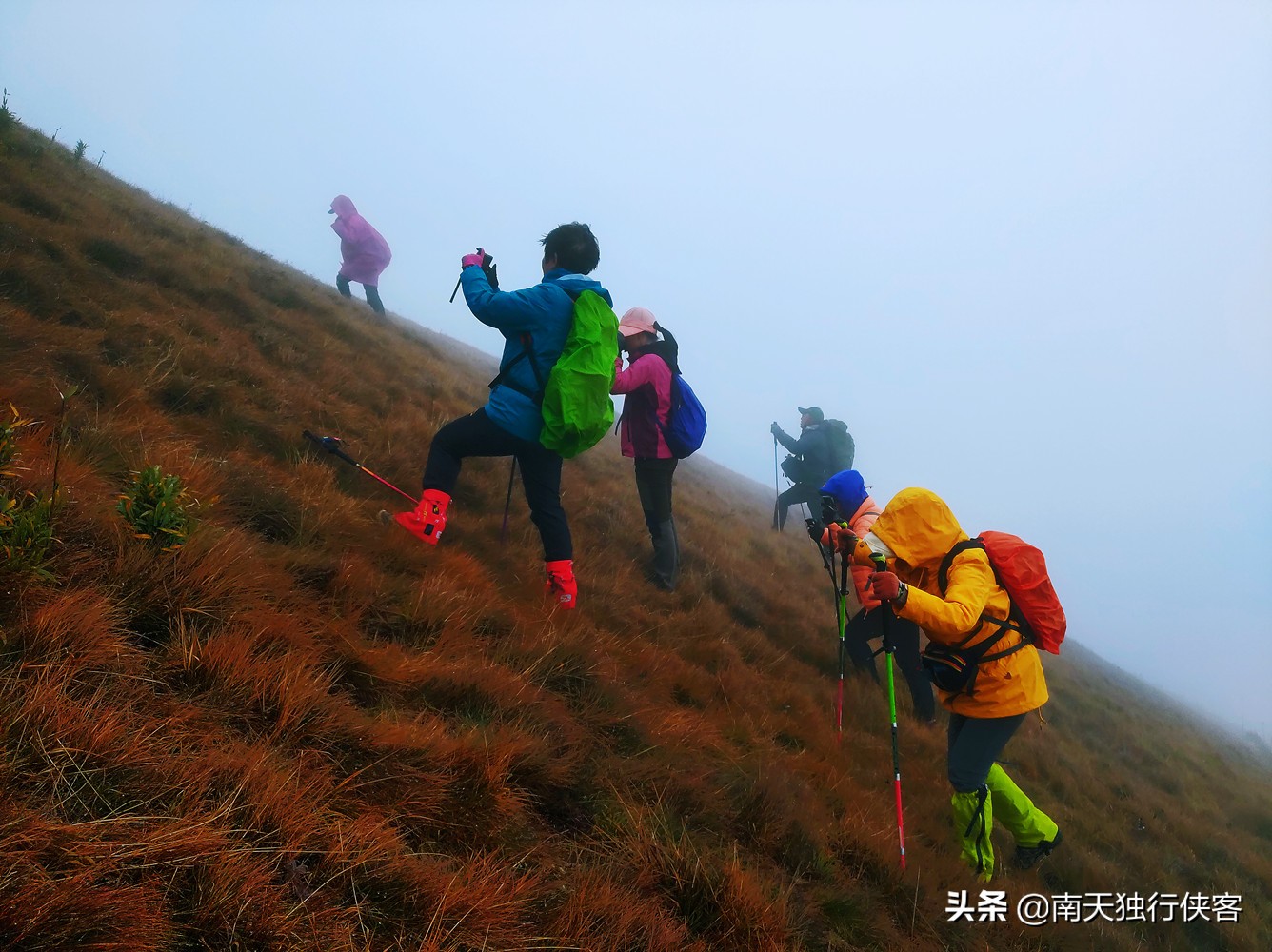 穿越时空美丽的云南,穿越迷雾丛林见美景